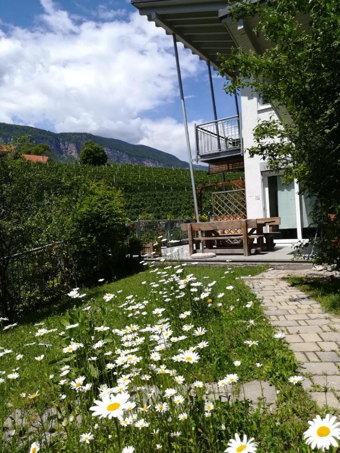 Casa Clima Tandem Apartment Denno Exterior foto